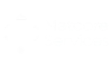 Netcore Services Logo